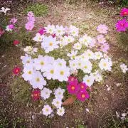 まーちゃん　☆プロフィール読んで下さい☆の画像