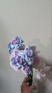 ヤラ
