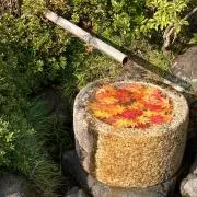 りんの画像