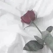 ℳの画像
