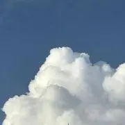 なつみかんの画像