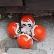 fumiの画像