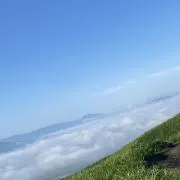 彪