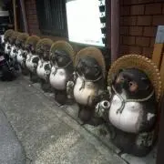 daigorocksの画像