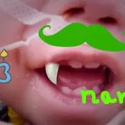 amo36