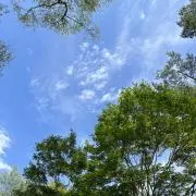 なっちの画像