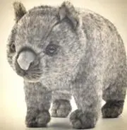 ウォンバット
