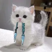Ruruku