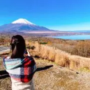 ぽちの画像