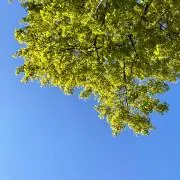 sho.の画像