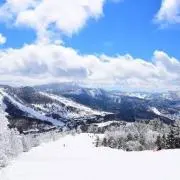 ダブルエムの画像