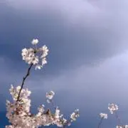 りえろん