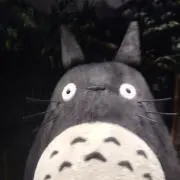 めいの画像