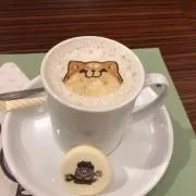 まゆの画像