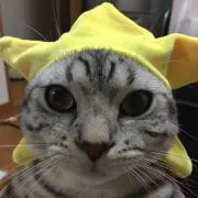 ひろ
