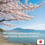 和のこころの画像
