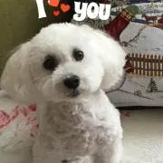 ななここの画像