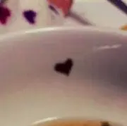 パピプペポッキー