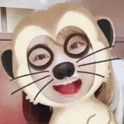 meiの画像