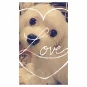 ラッキーちゃん☆の画像