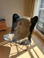 Giorの画像