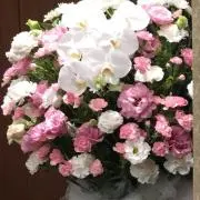 リンリン