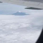 ryuの画像