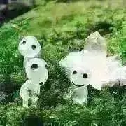 ⭐︎星月⭐︎おまとめ割引あります‼️の画像