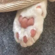 minnの画像