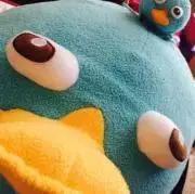 ahiruの画像