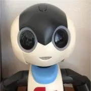 やうこの画像