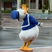 こぶた˙Ꙫ˙の画像