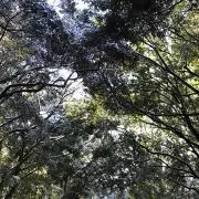 poteの画像