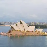 ベティの画像