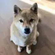 もちまるん