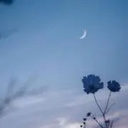 彩の画像