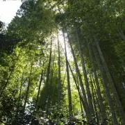 ルンルン♪の画像