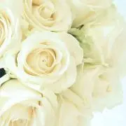 M.Yの画像