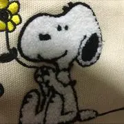 ふじこの画像