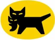 黒猫の画像