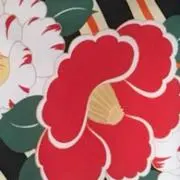 きなこの画像
