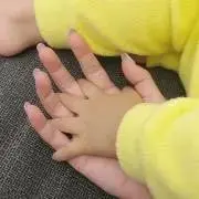 MAYAの画像
