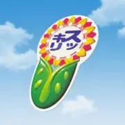 ひろしひろし※複数購入で少し割引の画像