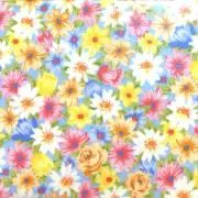 ⭐️kokoro⭐️フォロー割してます♡