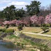 ヨシキの画像