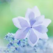 Glory★無言取引OKの画像