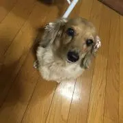 みんみ☆の画像
