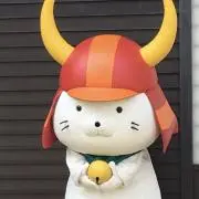 ttの画像