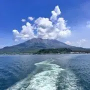 よたろの画像
