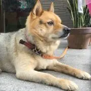 めぐみ